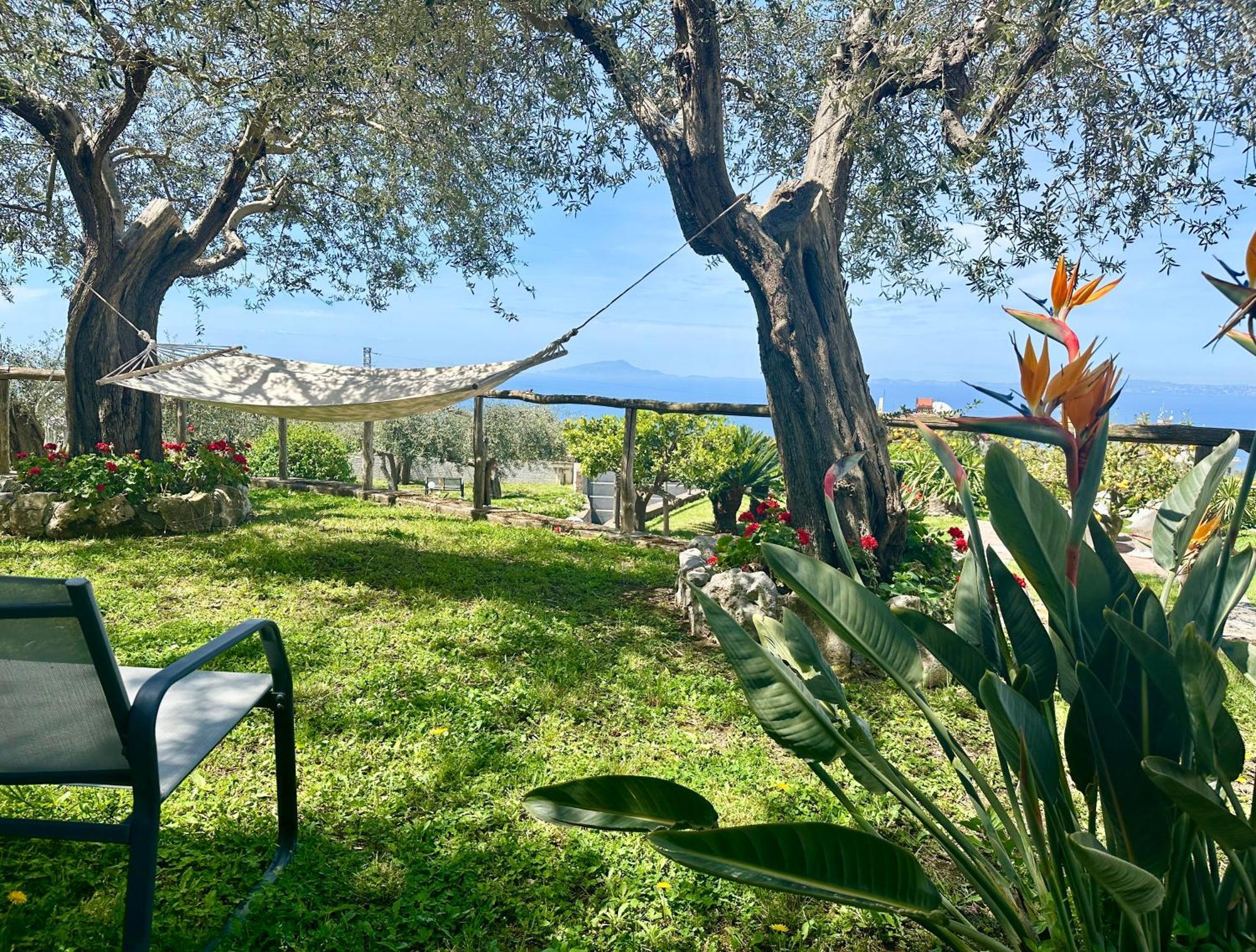 Villa Raf Vico Equense Exteriör bild